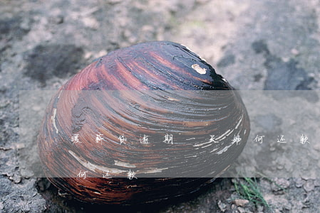 暖薪贷逾期一天如何还款(暖薪贷逾期一天如何还款)
