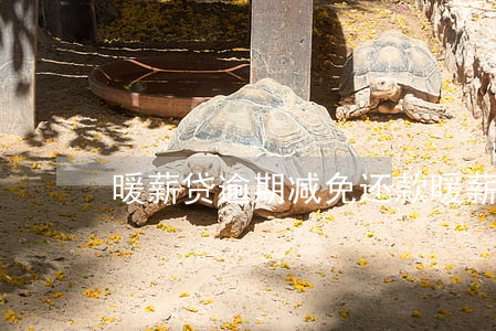 暖薪贷逾期减免还款(暖薪贷逾期减免还款)
