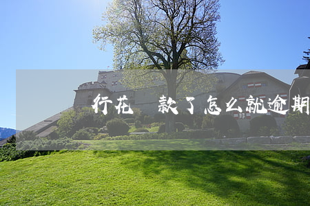 暢行花還款了怎么就逾期(暢行花還能下款嗎)
