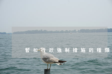 暫扣行政強制措施的種類