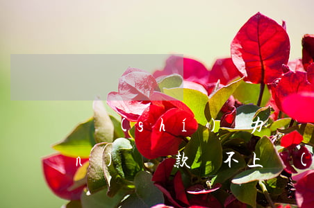 暫時(shí)無力償還辦理轉(zhuǎn)貸 貸款還不上轉(zhuǎn)貸