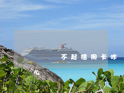 暫時還不起信用卡咋辦(如果還不上信用卡怎么辦)