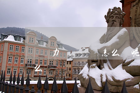 暫無力償還債務怎么辦呢（暫無力償還債務怎么辦）