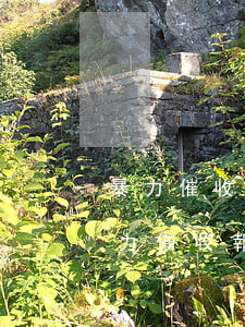 暴力催收報警有用嗎-網(wǎng)貸暴力催收報警有用嗎