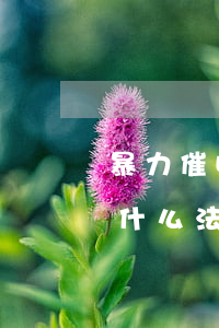 暴力催收的网贷上征信吗(网贷暴力催收违反什么法律)