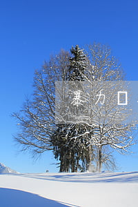 暴力強拆是什么罪
