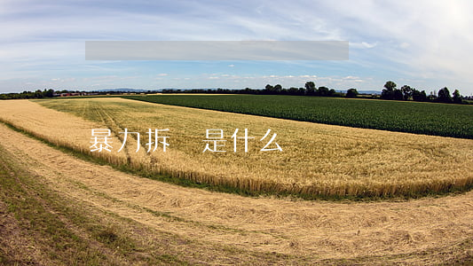 暴力拆遷是什么