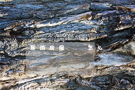 暴雨房屋損壞怎么賠