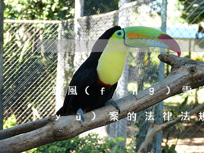 暴風(fēng)雪應(yīng)急預(yù)案的法律法規(guī)(我國有關(guān)突發(fā)事件,應(yīng)急管理法律法規(guī)有哪些)