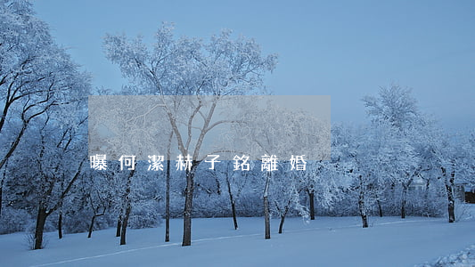 曝何潔赫子銘離婚