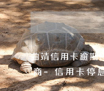 曲靖信用卡逾期停息分期怎么協(xié)商-信用卡 停息分期