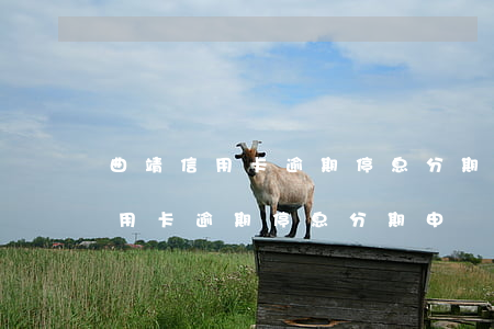 曲靖信用卡逾期停息分期申請條件-曲靖信用卡逾期停息分期申請條件是什么