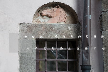 曲靖信用卡逾期停息挂账申请条件-曲靖信用卡逾期停息挂账申请条件是什么