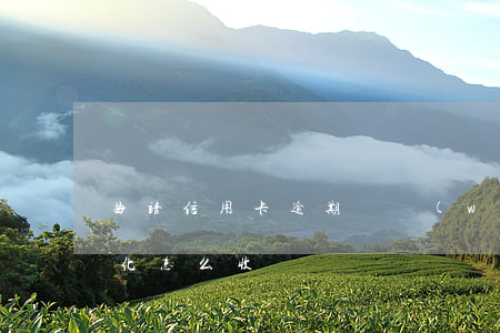 曲靖信用卡逾期債務(wù)優(yōu)化怎么收費