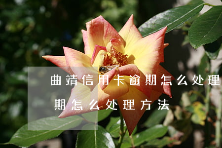 曲靖信用卡逾期怎么处理方法 曲靖信用卡逾期怎么处理方法