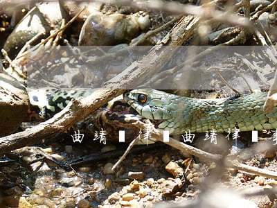 曲靖請律師(曲靖律師事務(wù)所)