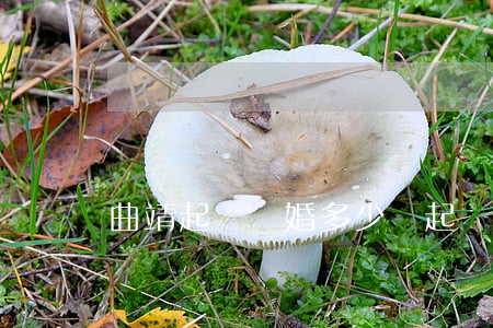 曲靖起訴離婚多少錢(起訴離婚多少錢啊)