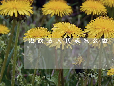更改法人代表怎么做