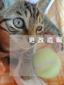 更改遗嘱需要什么资料(写好的遗嘱可以改吗)