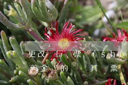 更改銀行匯票實(shí)際結(jié)算金額的糾紛,其匯票無效嗎