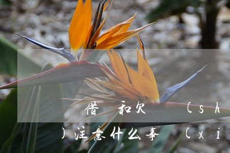 書寫借條和欠條時(shí)應(yīng)注意什么事項(xiàng)