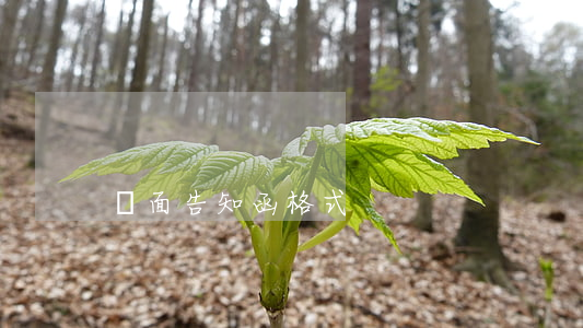 書面告知函格式