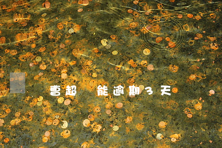 曹超貸能逾期3天