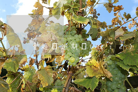 曹超貸逾期協(xié)商還款