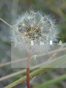 曹超貸逾期后又延期了 曹超貸逾期后又延期了