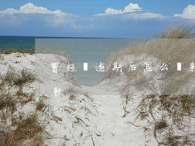 曹超貸逾期后怎么還款(曹超貸逾期后怎么還款)