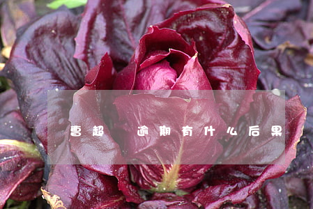 曹超貸逾期有什么后果