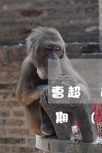 曹超貸逾期發(fā)短信起訴-曹超貸逾期發(fā)短信起訴