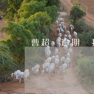 曹超貸逾期給我通訊錄(曹超貸逾期給我通訊錄)