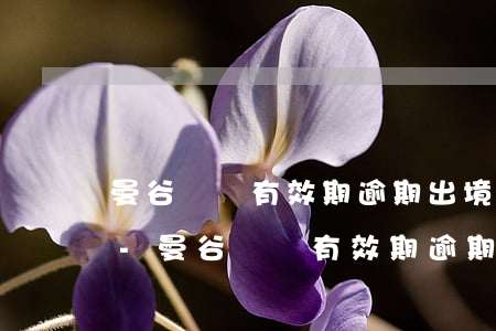 曼谷簽證有效期逾期出境會(huì)怎樣-曼谷簽證有效期逾期出境會(huì)怎樣處理