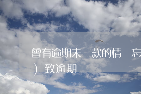 曾有逾期未還款的情況(忘記還款導(dǎo)致逾期)