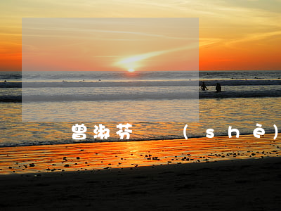 曾淑芬開設(shè)賭場