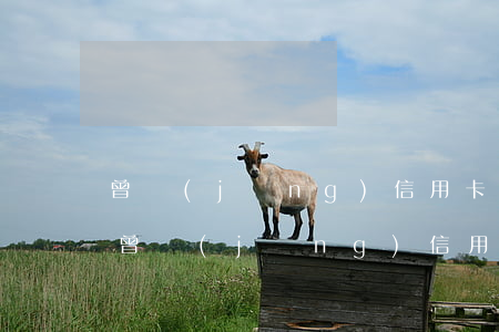 曾經(jīng)信用卡欠了十萬怎么處理（曾經(jīng)信用卡欠了十萬）
