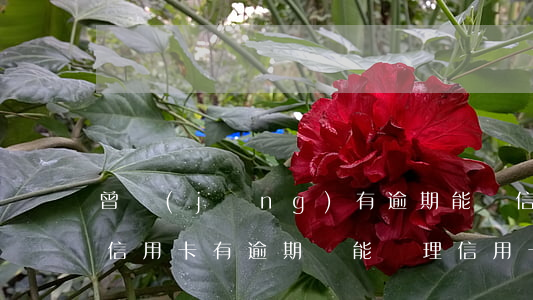曾經(jīng)有逾期能辦信用卡嗎(以前信用卡有逾期還能辦理信用卡嗎)