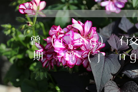曾經(jīng)沒有交信用卡年費算是逾期嗎-曾經(jīng)沒有交信用卡年費算是逾期嗎怎么辦