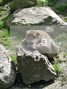 曾經(jīng)逾期90天貸款(曾經(jīng)逾期90天貸款)