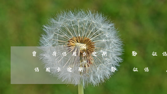 曾經有信用卡逾期記錄影響征信嗎-曾經有信用卡逾期記錄影響征信嗎怎么辦