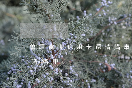 曾經逾期信用卡還清購車(曾經逾期信用卡還清購車)