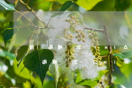 曾經逾期兩次現(xiàn)在有信用卡(曾經逾期兩次現(xiàn)在有信用卡怎么辦)