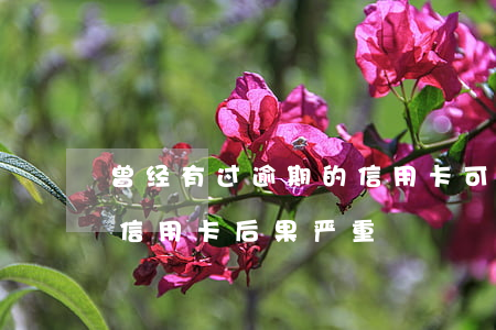 曾经有过逾期的信用卡可否注销(逾期后注销信用卡后果严重)