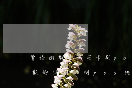 曾经逾期的信用卡刷pos机风险-曾经逾期的信用卡刷pos机风险大吗