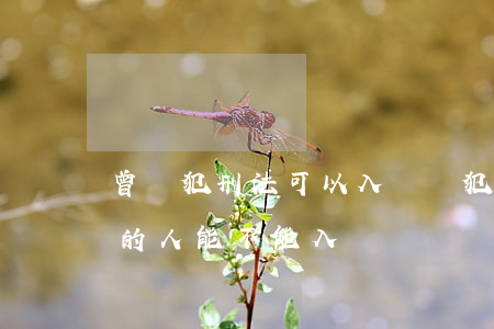 曾觸犯刑法可以入黨嗎(犯過(guò)刑法的人能不能入黨)