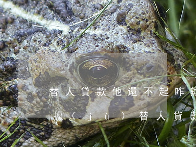 替人貸款他還不起咋辦能起訴嗎需要什么證據(jù)（替人貸款逾期怎么辦信用卡）
