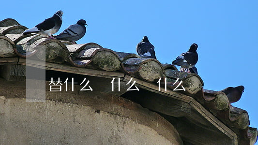 替什么給什么寫什么