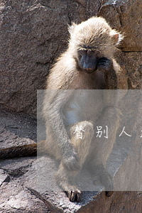 替别人起诉欠钱-代替别人起诉