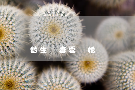 替生嬌妻要離婚
